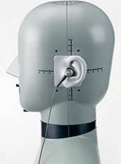 Head and Torso Simulator